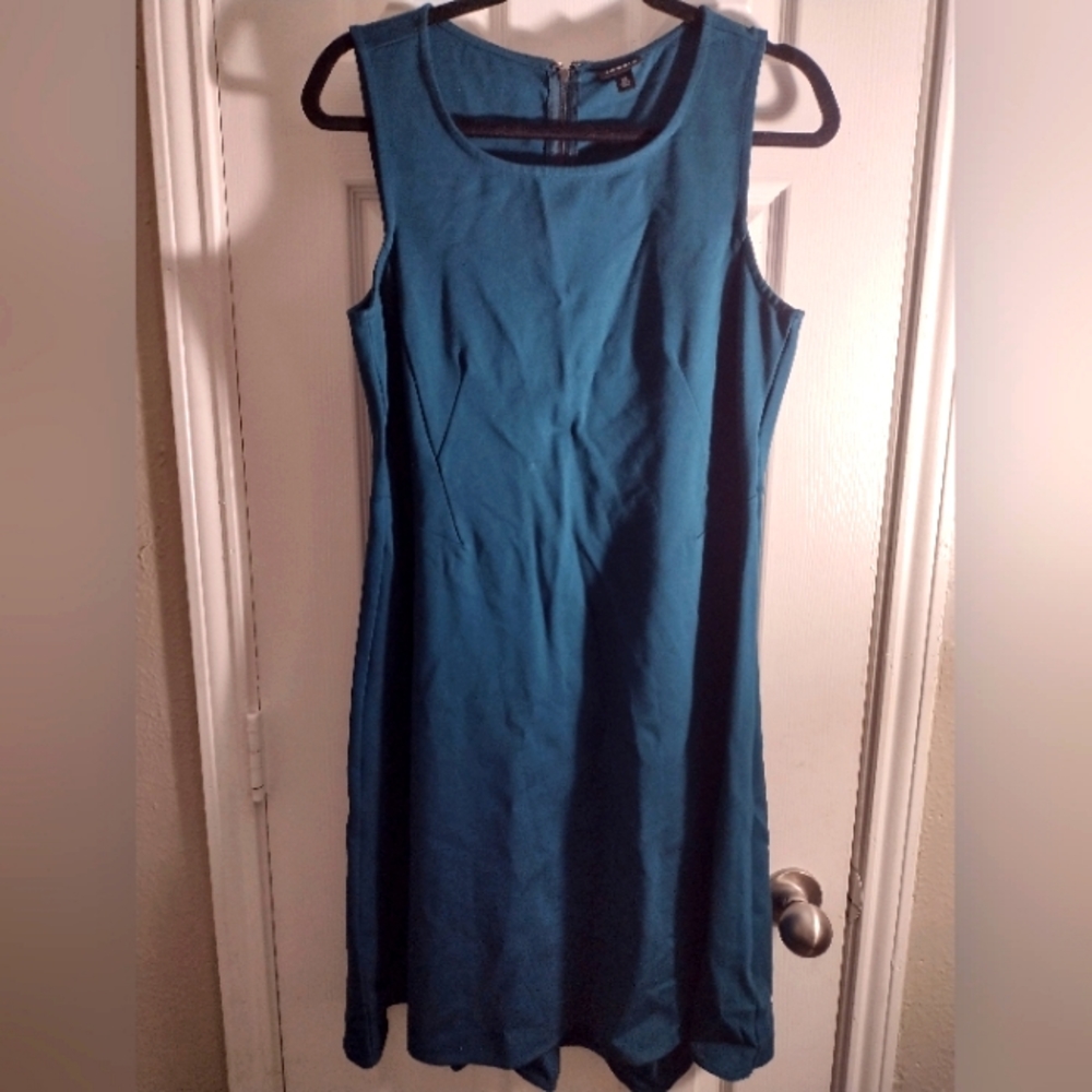 Torrid skater dress